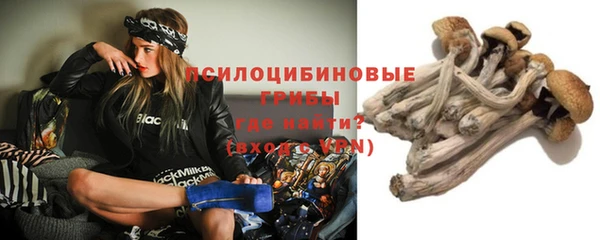 MESCALINE Ельня