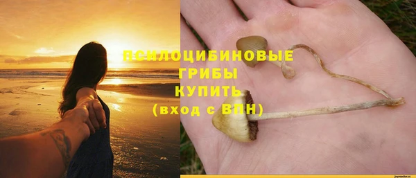 MESCALINE Ельня